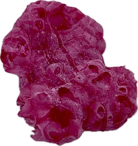 Freeze Dried Red Frogs