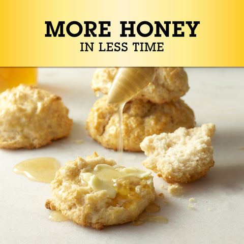 USA - Red Lobster Biscuit Mix - Honey Butter  11.36oz (322gm)