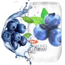 OKF Soda 355ml - Sparkling Blueberry